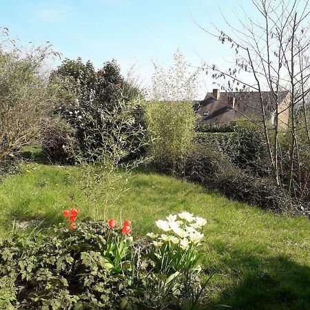 Appartement 2 Chambres Au Calme Et Au Vert, A Louvain-La-Neuve Kültér fotó