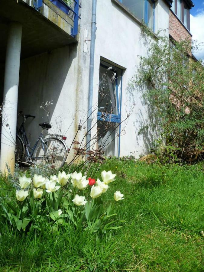 Appartement 2 Chambres Au Calme Et Au Vert, A Louvain-La-Neuve Kültér fotó